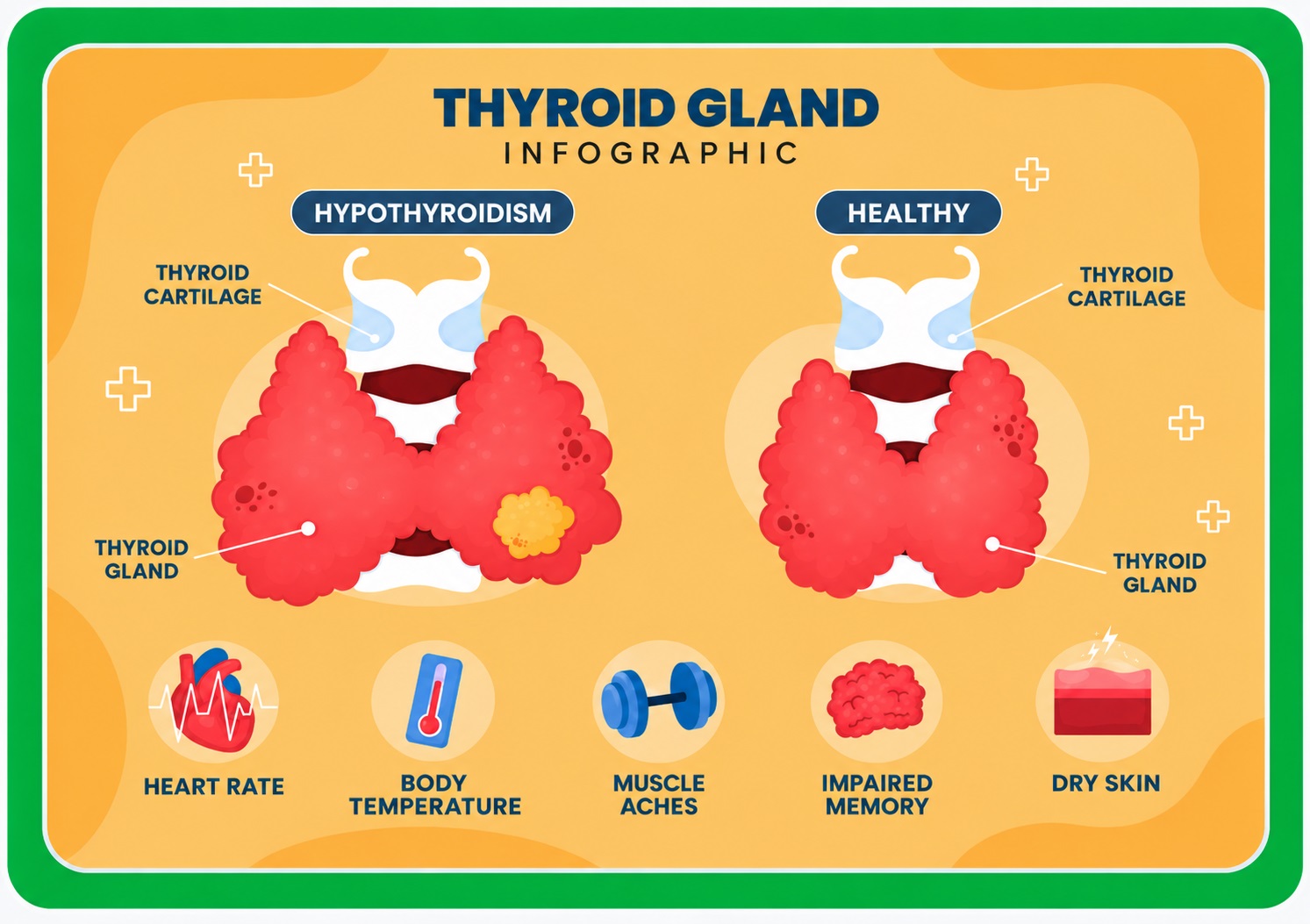 Diseases Of The Endocrine System