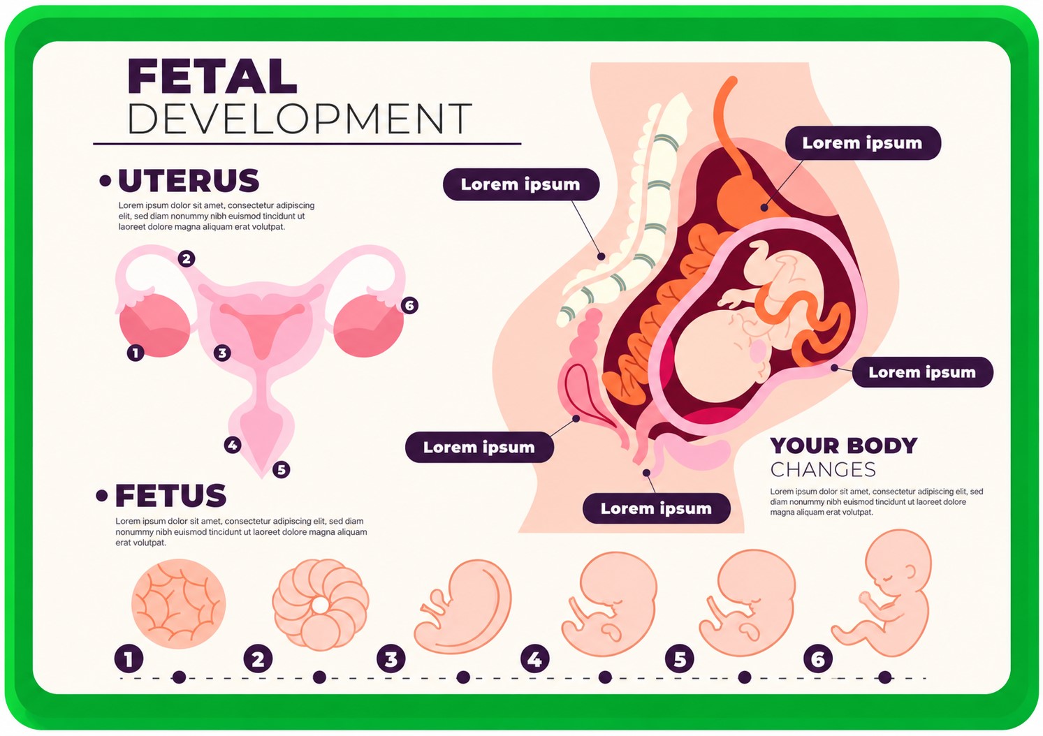 Diseases Of The Female Reproductive System