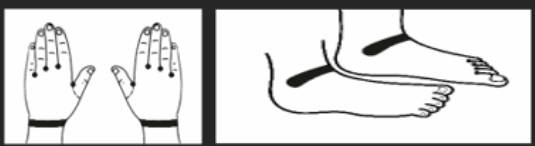 Acupressure points referenced in the source